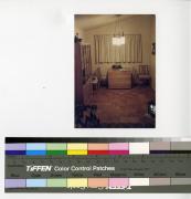 1980 - 1989 Family and Travel