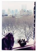 1980 - 1989 Studio and Domestic