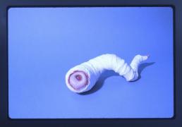 1981, "9th Street Survival Show," New York City