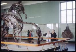 1980 - 1985 Family and Travel